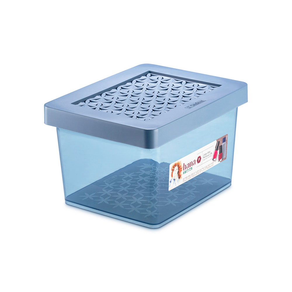 Caixa Organizadora com Tampa de Plástico Azul Hana Ordene 2,8L